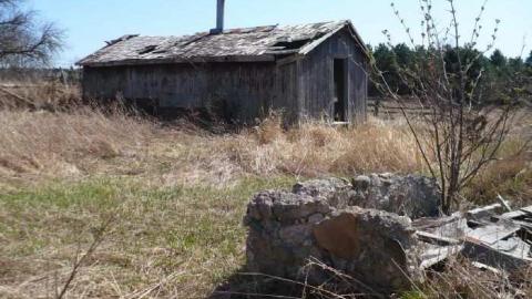 Snowball's Chance - Dufferin-St.-House-(Snowball)53.jpg