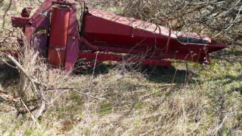 Snowball's Chance - Dufferin-St.-House-(Snowball)56.jpg