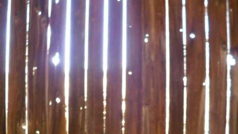 Snowball's Chance - Dufferin-St.-House-(Snowball)57.jpg