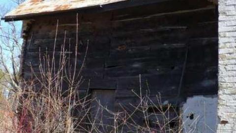 Snowball's Chance - Dufferin-St.-House-(Snowball)60.jpg