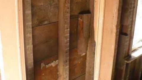 Snowball's Chance - Dufferin-St.-House-(Snowball)65.jpg