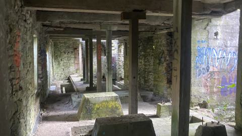 2024 September - IMG_7221.jpeg