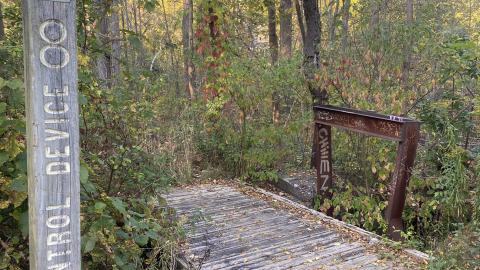 2024 September - IMG_7210.jpeg