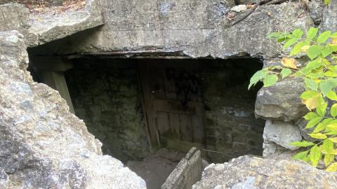 2024 September - IMG_7235.jpeg