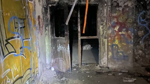 Photo from 2024 summer