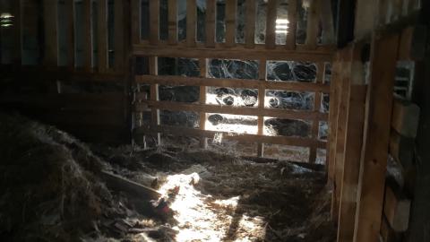 September '24 - IMG_6948.jpeg