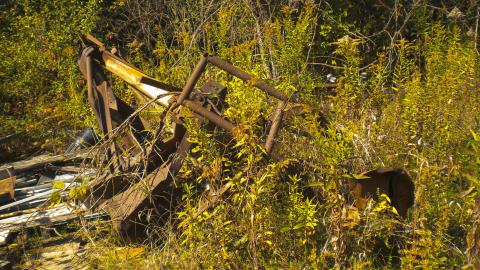 i hate burrs - coolpix-71.jpg