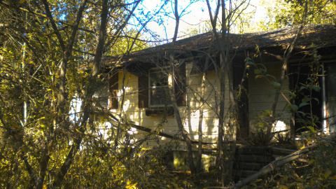 i hate burrs - coolpix-76.jpg