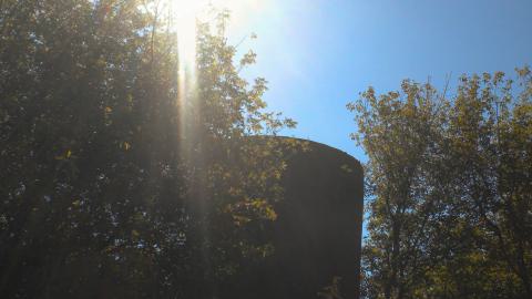 i hate burrs - coolpix-79.jpg