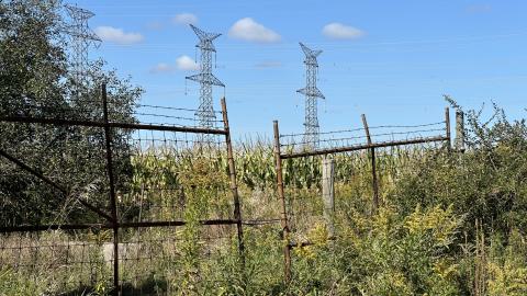 i hate burrs - IMG_3760.jpeg