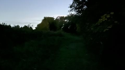 i hate burrs - IMG_3764.jpeg