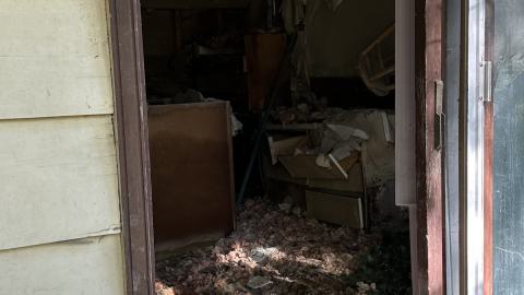 i hate burrs - IMG_3752.jpeg