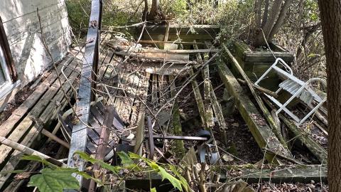 i hate burrs - IMG_3754.jpeg