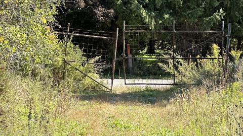 i hate burrs - IMG_3755.jpeg