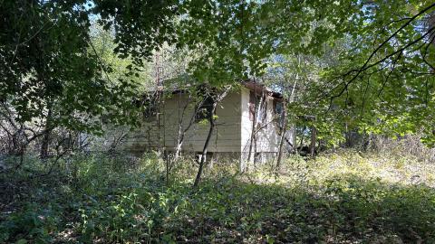 i hate burrs - IMG_3751.jpeg