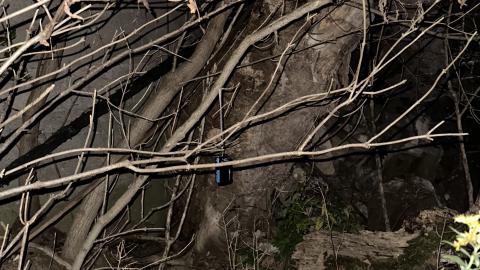 i hate burrs - IMG_3765.jpeg