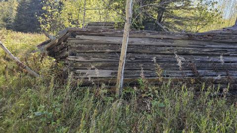 Mindoka: it's pretty minimal. photo 3