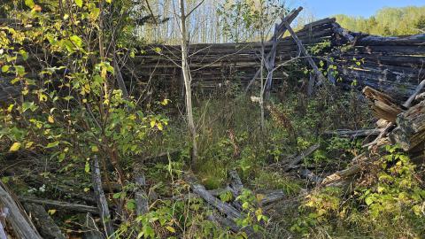 Mindoka: it's pretty minimal. - Timiskaming, Unorganized, West Part, Ontario