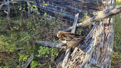 Mindoka: it's pretty minimal. photo 4