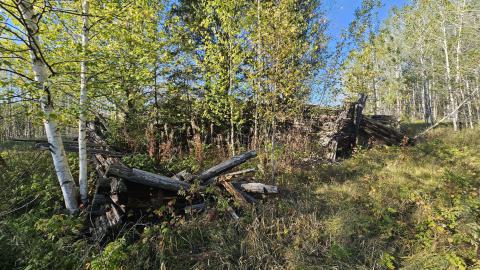 Mindoka is more ghost than town. - 20240928_165250.jpg