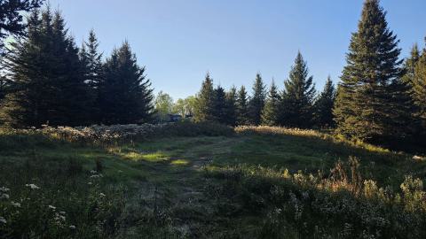 Mindoka is more ghost than town. - 20240928_173720.jpg