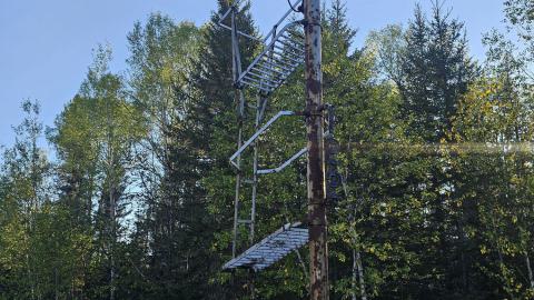 Mindoka: it's pretty minimal. photo 2