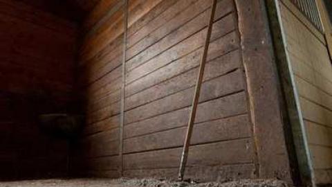 Recon visit - DSC_0033.jpg