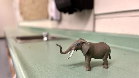 Marked Absent - IMG_0211.jpg