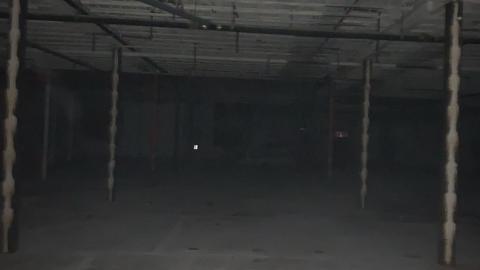 Photo from Squatters Galore