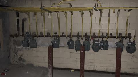 Photo from Squatters Galore