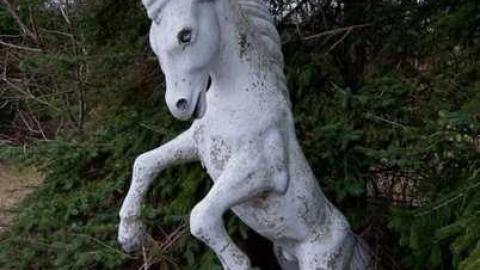 Recon visit - DSC_0073-3.jpg