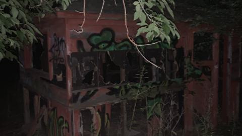 Fire and the Flames - 0CA350E1-72D5-40FC-ABF8-CD7F6DACC86F.jpeg