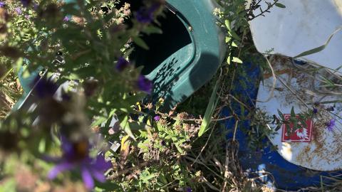 Photo from Gas Station?