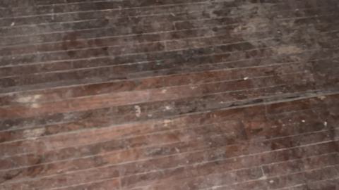 Colour Me Intrigued - FA473AC1-BDDB-4BF5-A4A7-D2668D08134C.jpeg