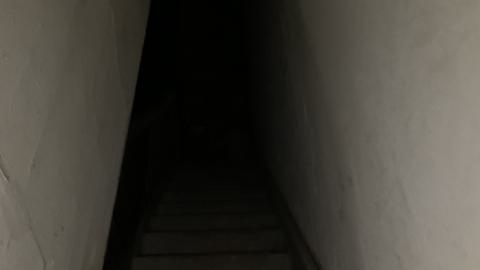 Colour Me Intrigued - 1506E6E2-93D6-4C70-BC59-64DE55BE652E.jpeg