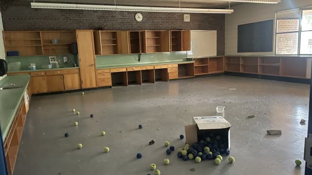 Late Security - IMG_5916.jpeg