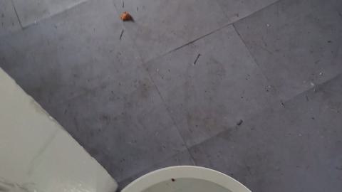 Row of houses - Screenshot_20241006_204329_Gallery.jpg