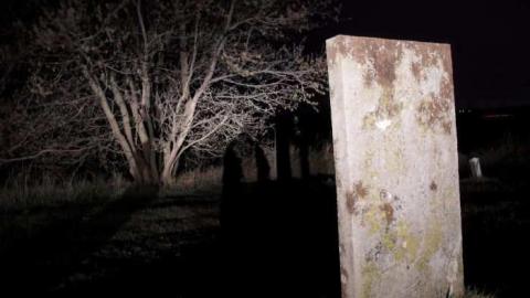 Dickie Settlement Cemetery photo 3