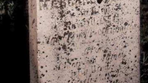 1837  - Dickie-Settlement-Cemetery30.jpg