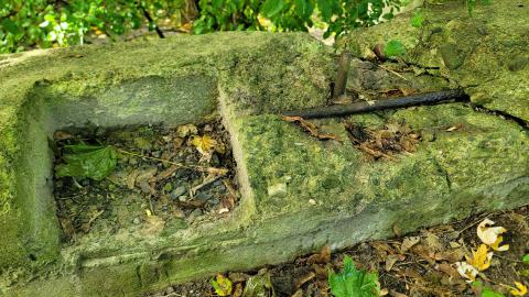 174 Year Old Foundations - 20241008_135728.jpg