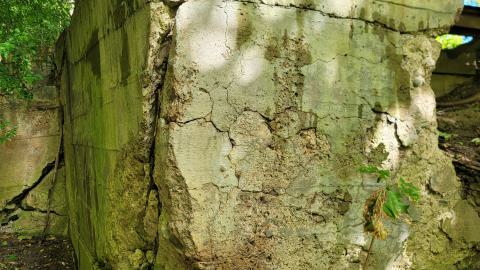 174 Year Old Foundations - 20241008_135624.jpg