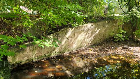 174 Year Old Foundations - 20241008_135542.jpg