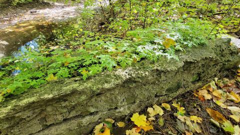 174 Year Old Foundations - 20241008_135517.jpg