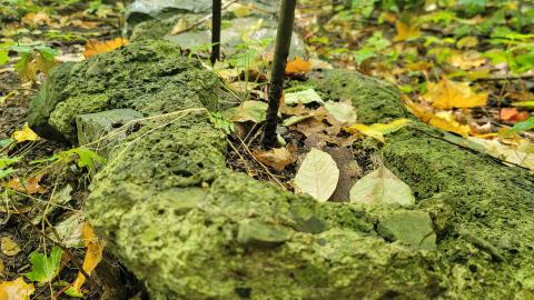 174 Year Old Foundations - 20241008_135504.jpg