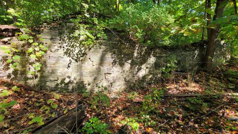 174 Year Old Foundations - 20241008_135241.jpg