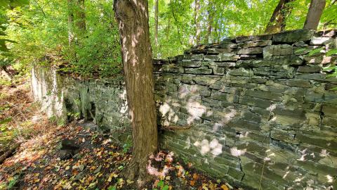 174 Year Old Foundations - 20241008_135042.jpg