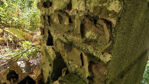 174 Year Old Foundations - 20241008_134450.jpg