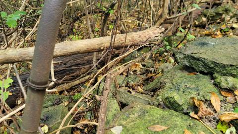 CVC Ruins - 20241008_161928.jpg