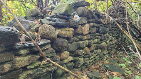 CVC Ruins - 20241008_161912.jpg