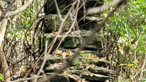 CVC Ruins - 20241008_161849.jpg